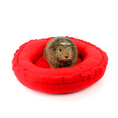 Small animal, likely a guinea pig, in a red pet bed on a white background