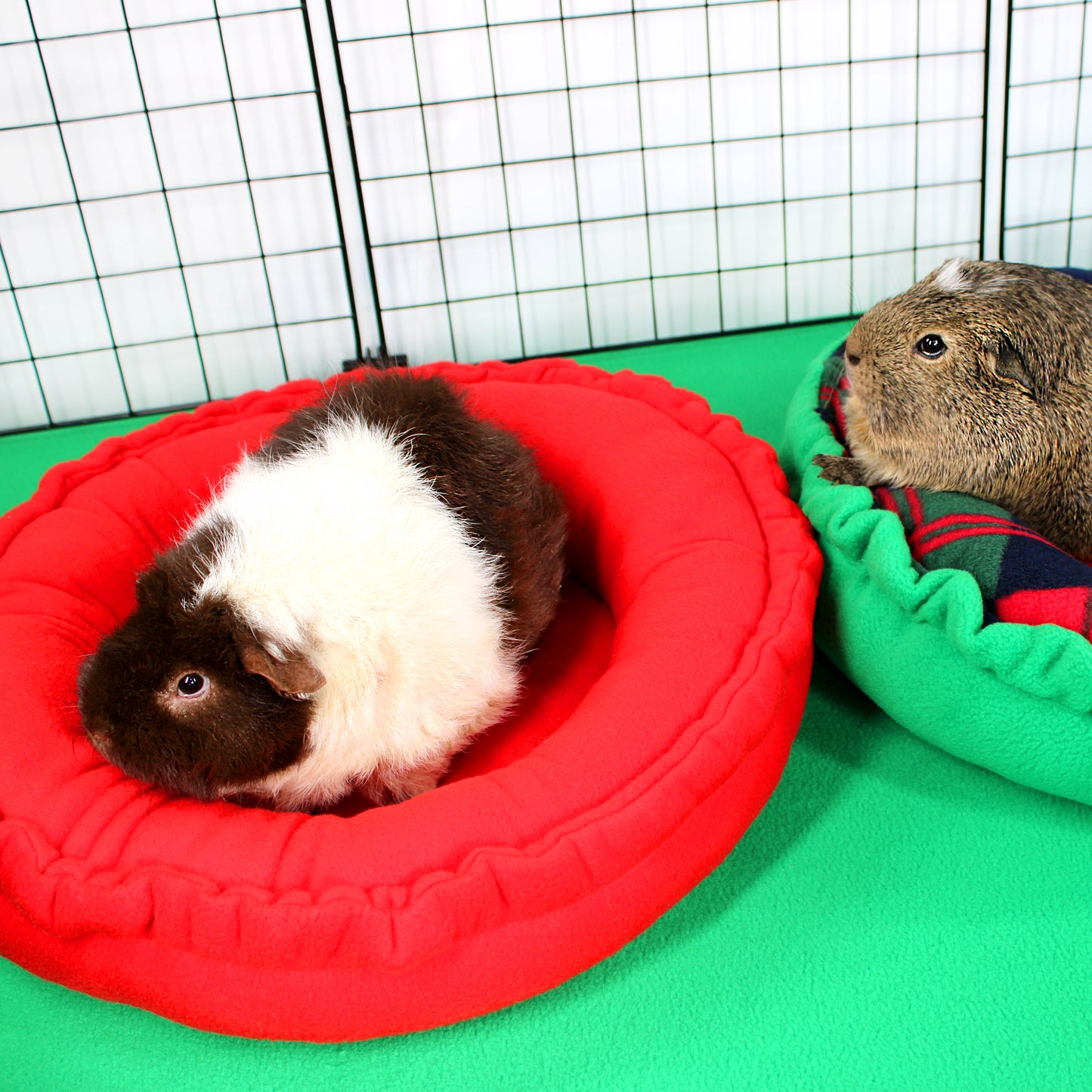 Christmas Tartan Doughnut Bed for Guinea Pigs