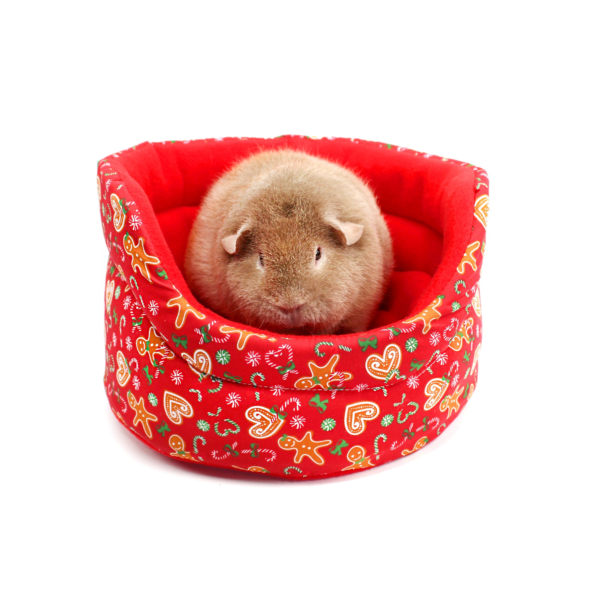 Small animal in a red holiday-themed bed on a white background