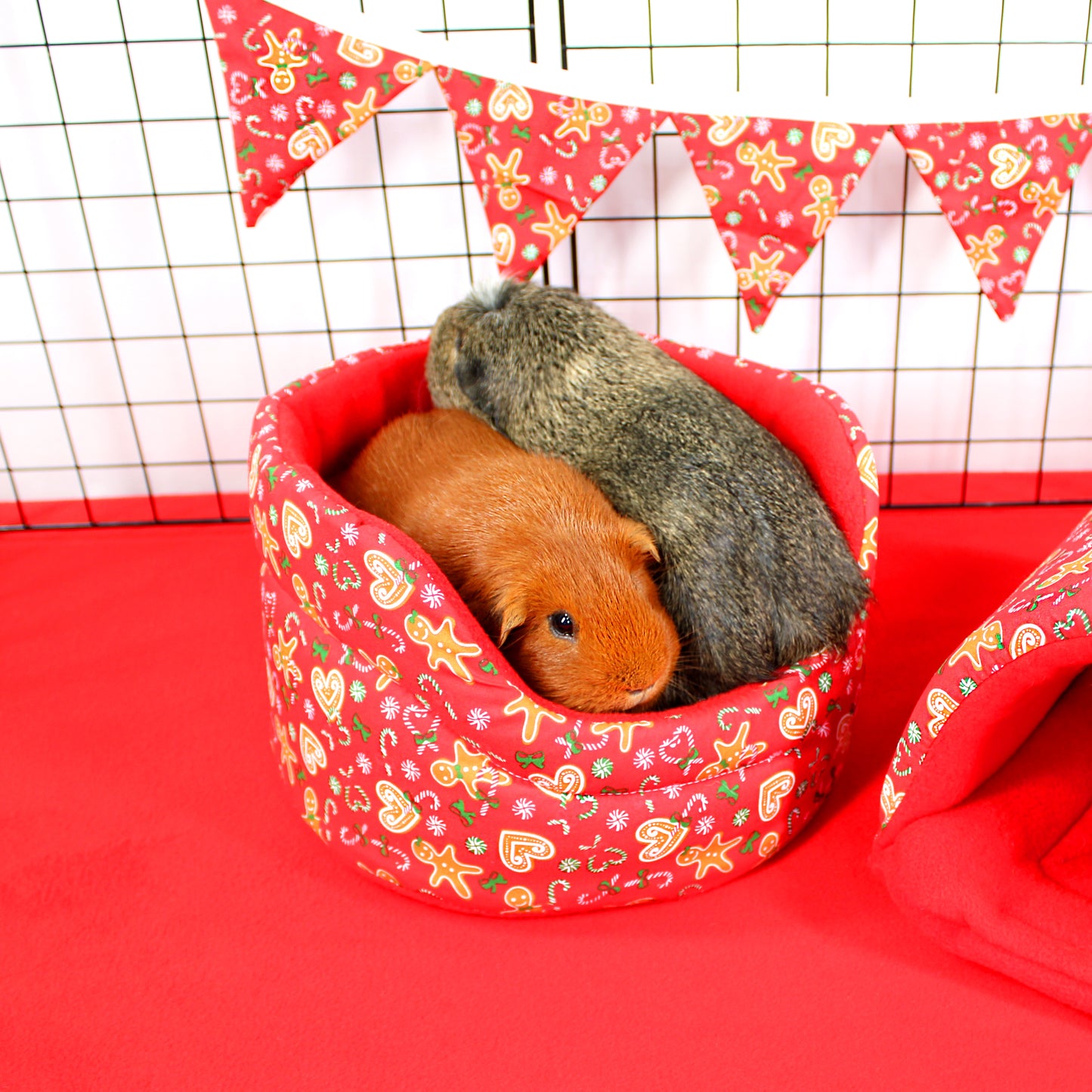 Two guinea pigs in a decorative red pet bed with a festive banner in the background.