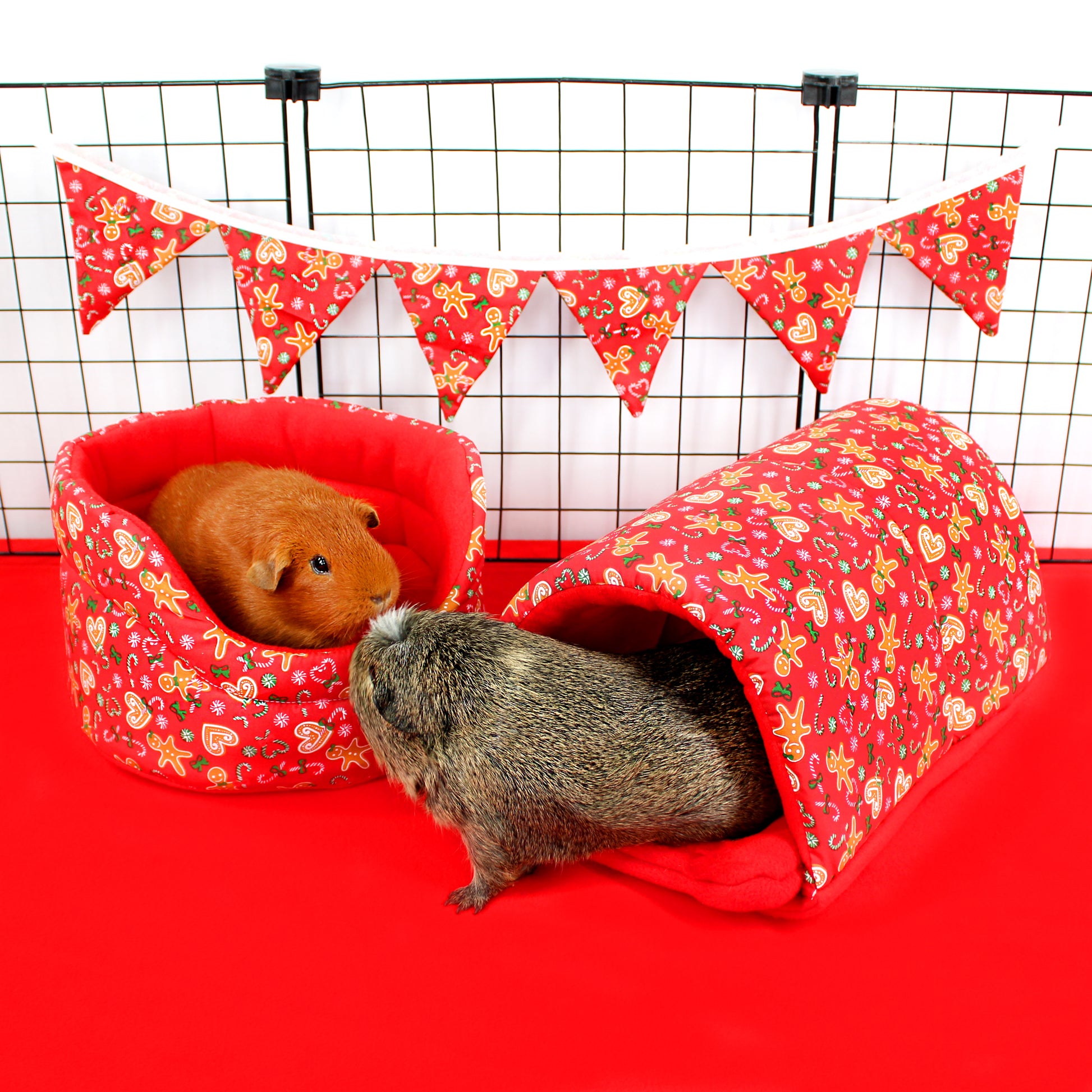 Two guinea pigs in a red pet house with gingerbread design on a red background