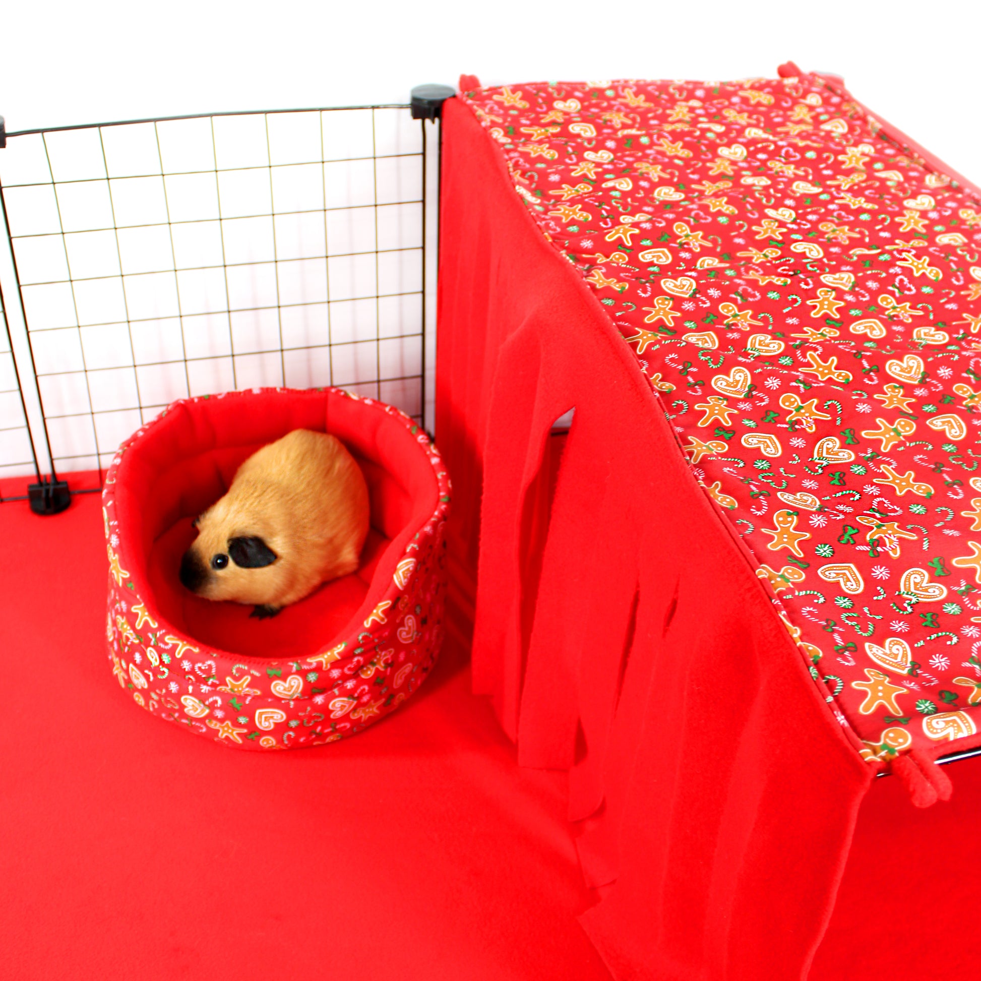 Pet enclosure with a red patterned bed and a small animal inside, on a white background
