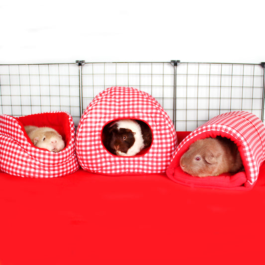Red Gingham Guinea Pig Accessory Set
