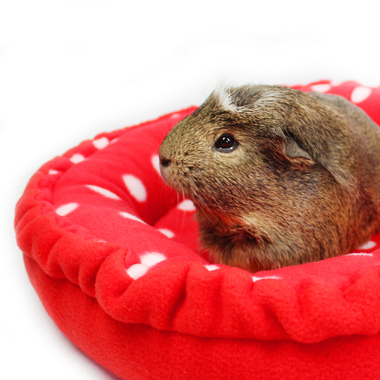 Red Polka Dot Doughnut Beds for Guinea Pigs