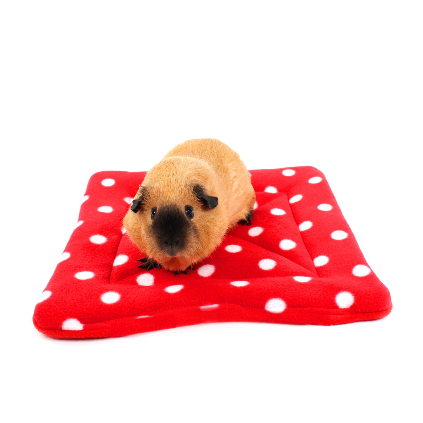 Large Red Polka Dot Square Pee Pad