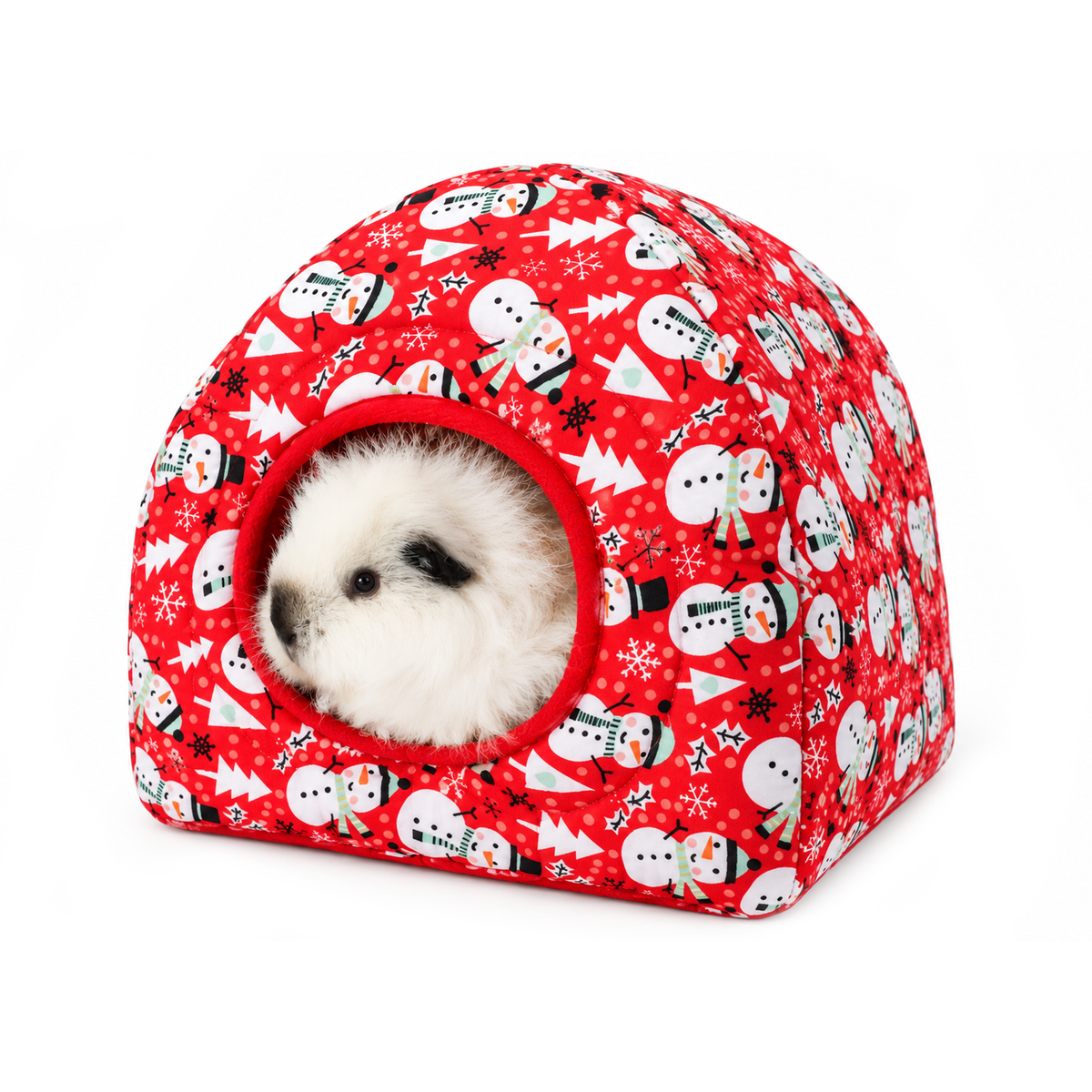 Fluffy white guinea pig sitting inside a red snowman print Christmas hidey house with a soft red fleece-lined entrance