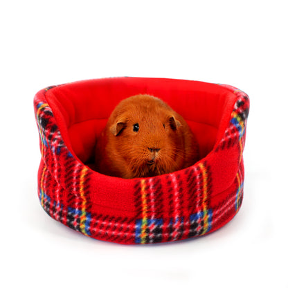 Guinea pig in a red plaid pet bed on a white background