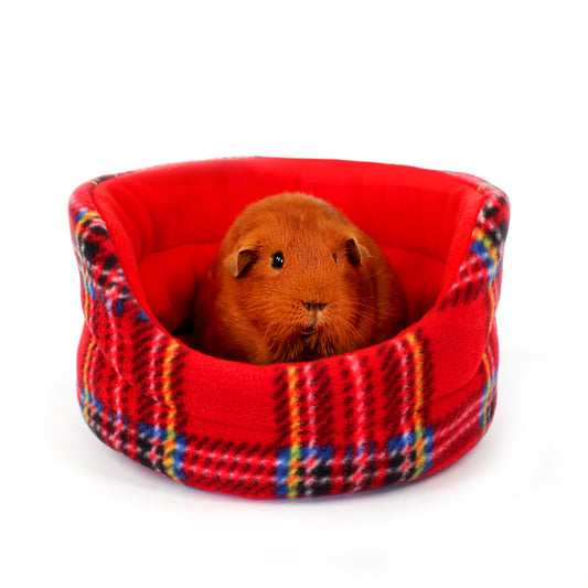 Guinea pig in a red plaid pet bed on a white background