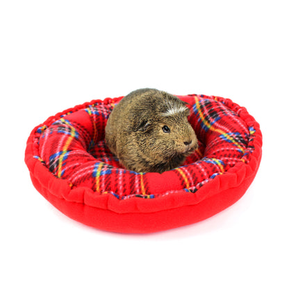 Small animal, likely a guinea pig, in a red and multicolored pet bed on a white background