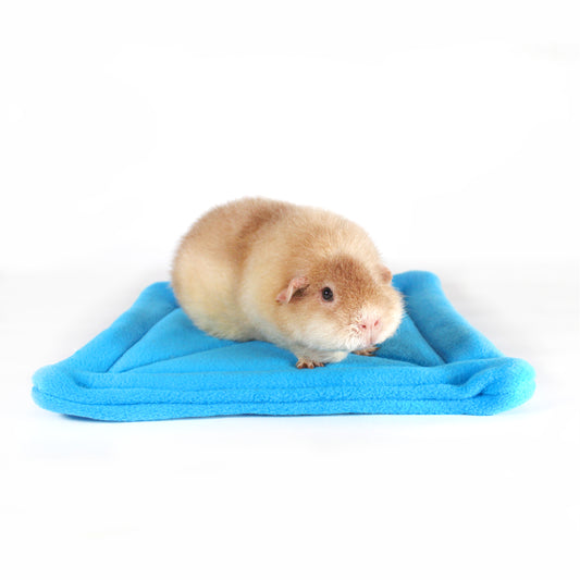 Large Square Rich Blue Pee Pad for Guinea Pigs, front view with teddy guinea pig sat on top