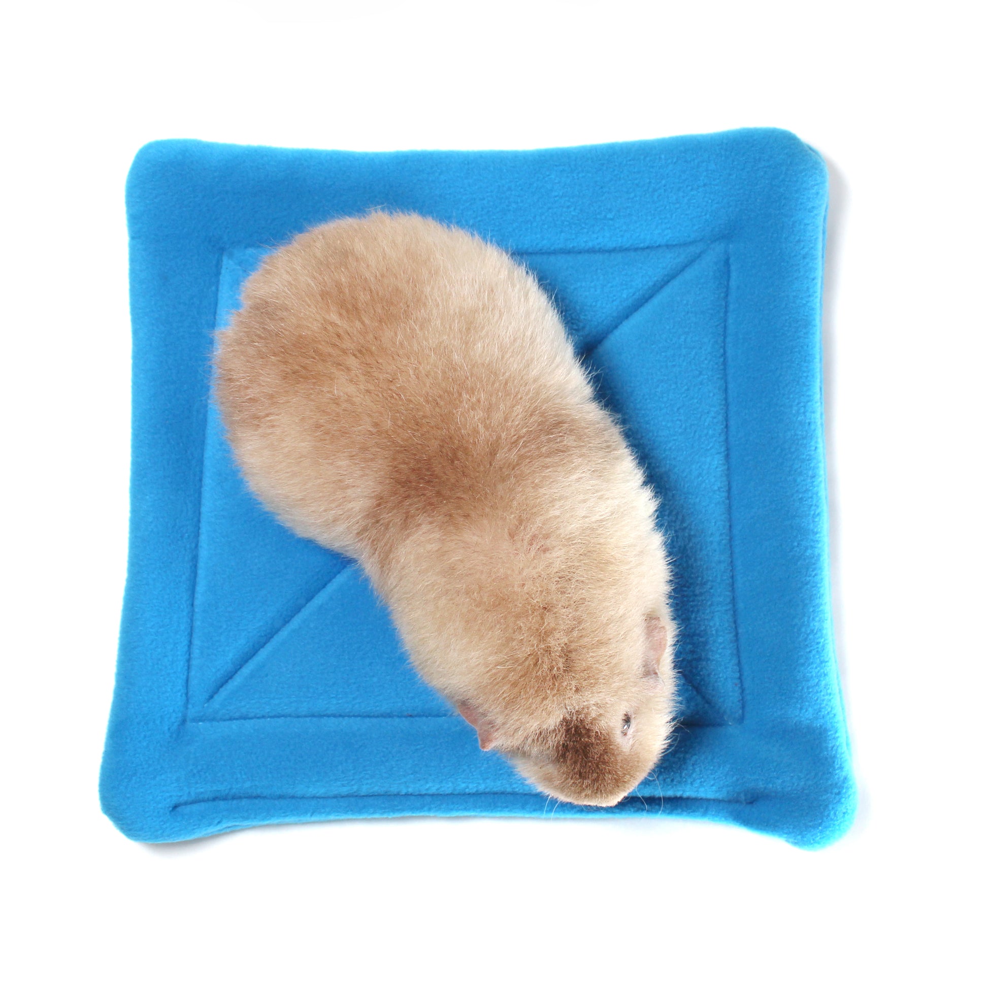 Large Square Rich Blue Pee Pad for Guinea Pigs, top view of the pee pad with a guinea pig on top for sizing