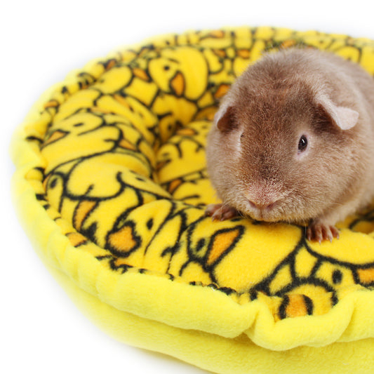 Rubber Ducky Doughnut Bed