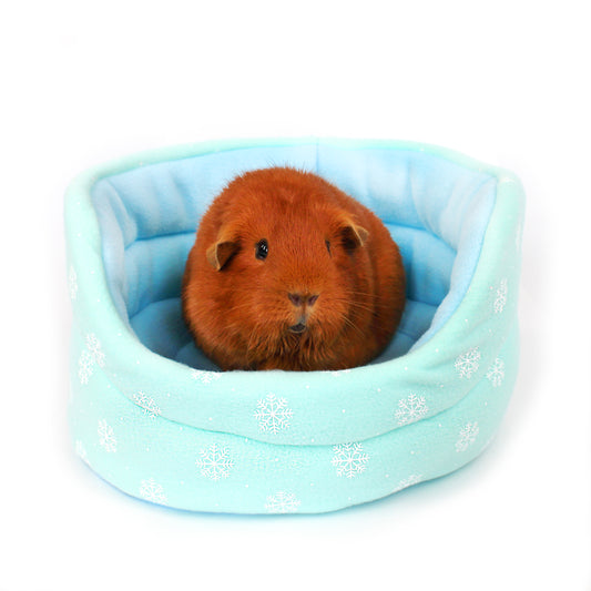 Small brown guinea pig sitting in a light blue pet bed with snowflake pattern on a white background