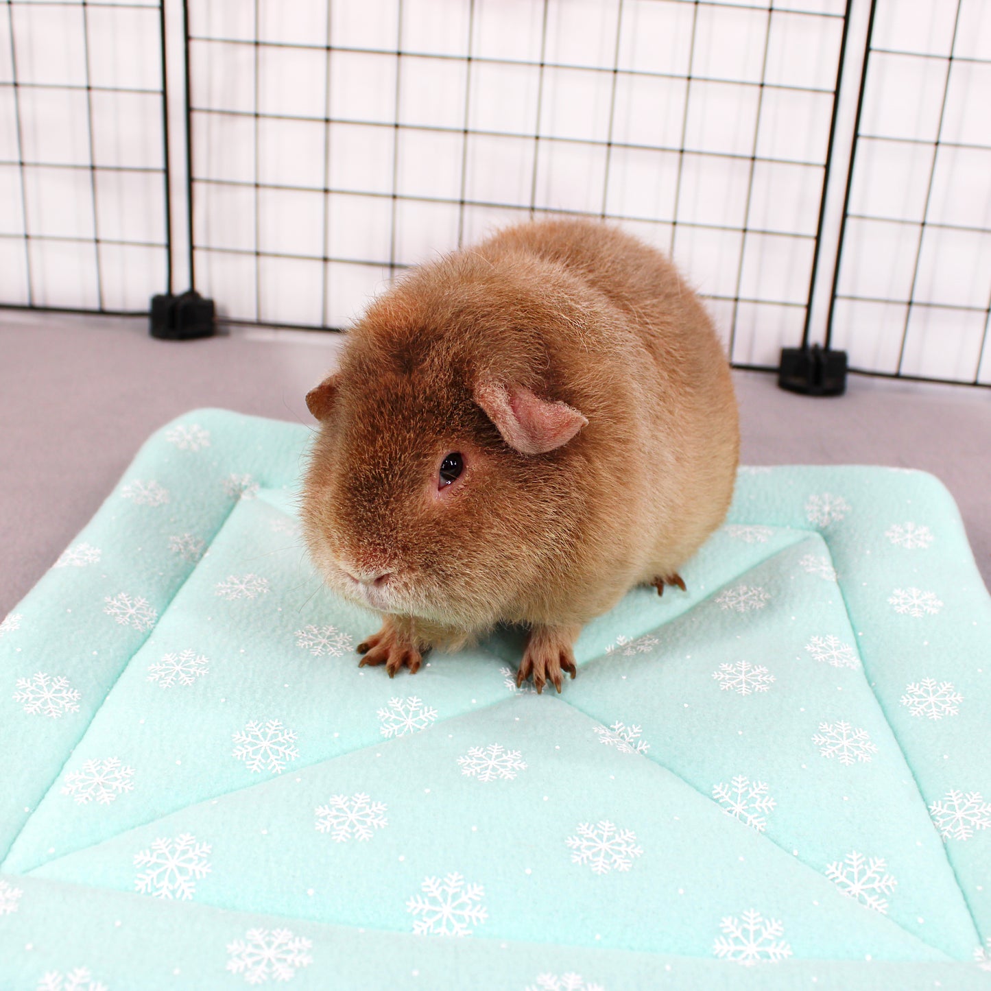 Mint Frost Snowflake Large Square Pee Pad
