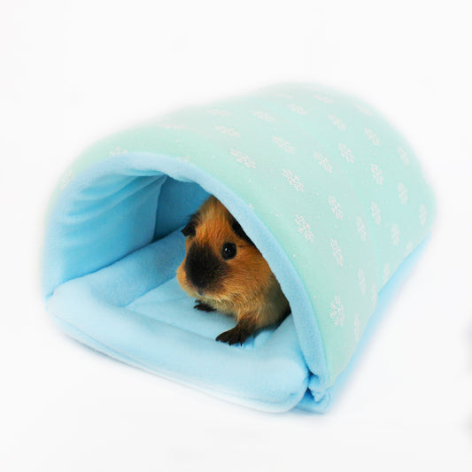 Small animal peeking out from a light blue tunnel on a white background