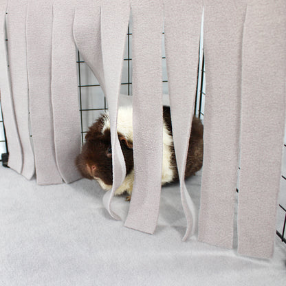 Guinea pig peeking out from behind a curtain in a pet cage