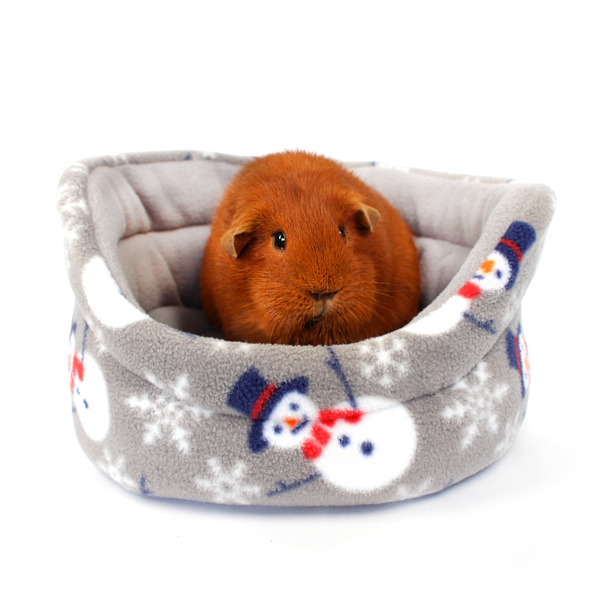 Small brown guinea pig sitting in a gray pet bed with snowman patterns on a white background