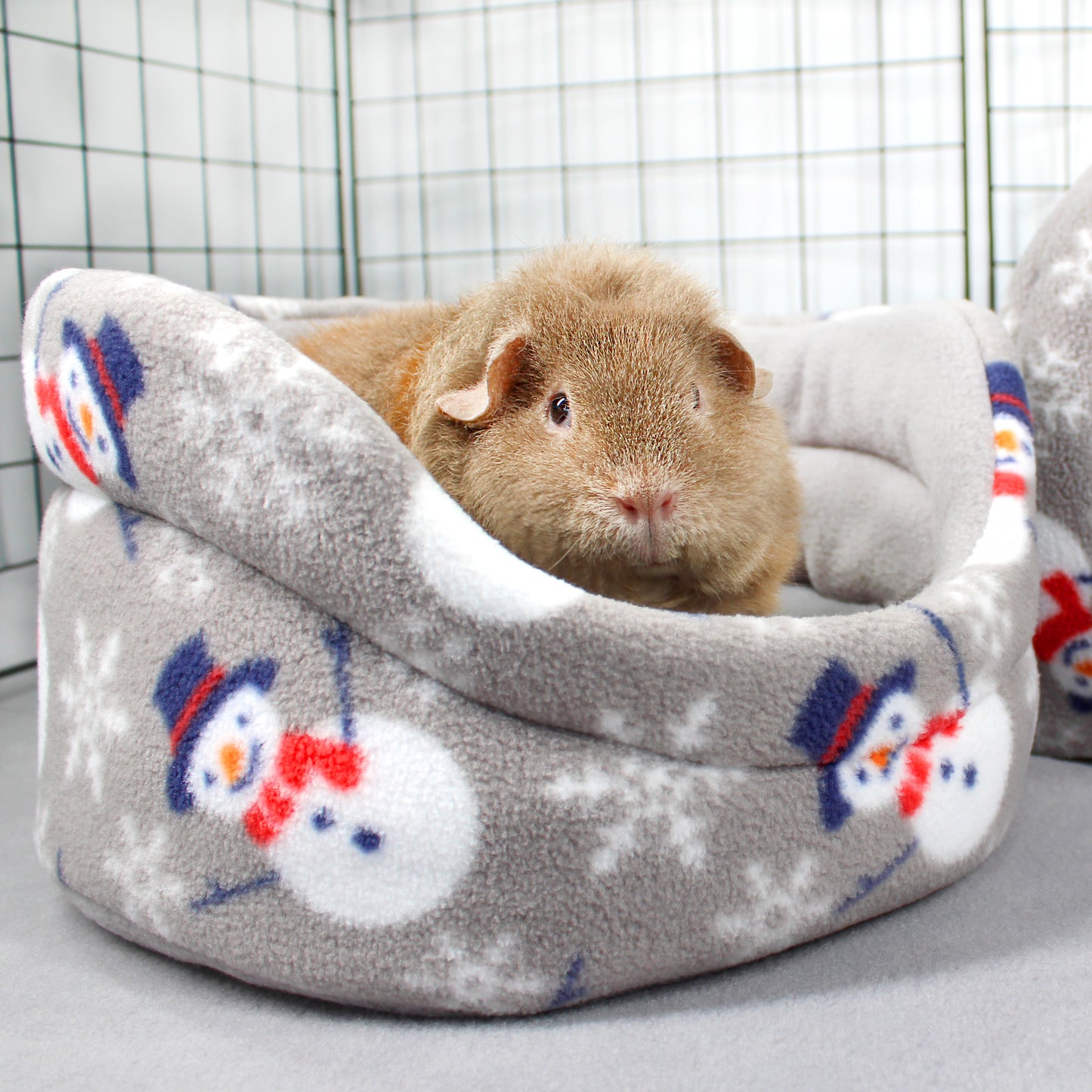 Guinea pig in a cozy gray pet bed with snowman pattern