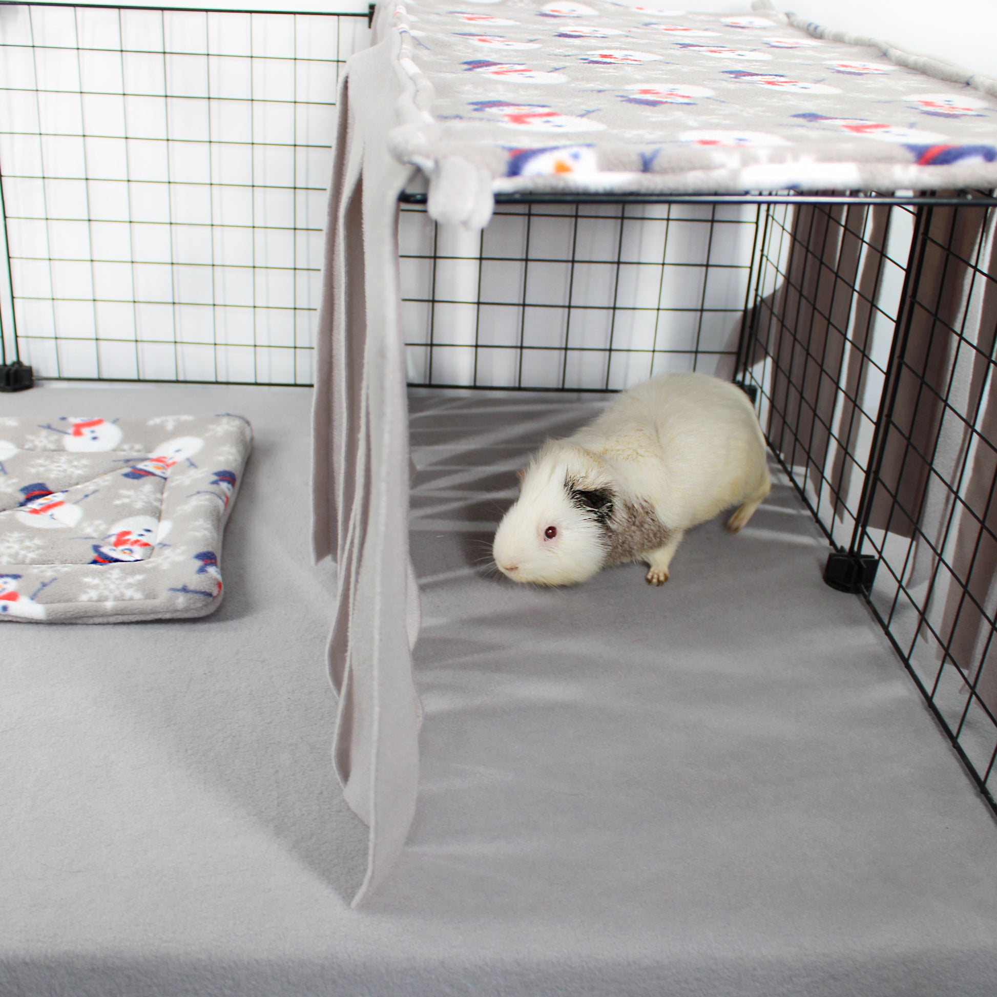 Guinea pig in a cage with a blanket and mat
