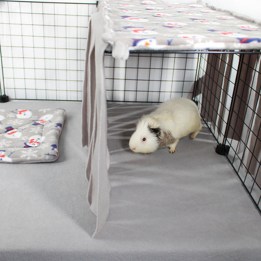 Guinea pig in a cage with a blanket and mat