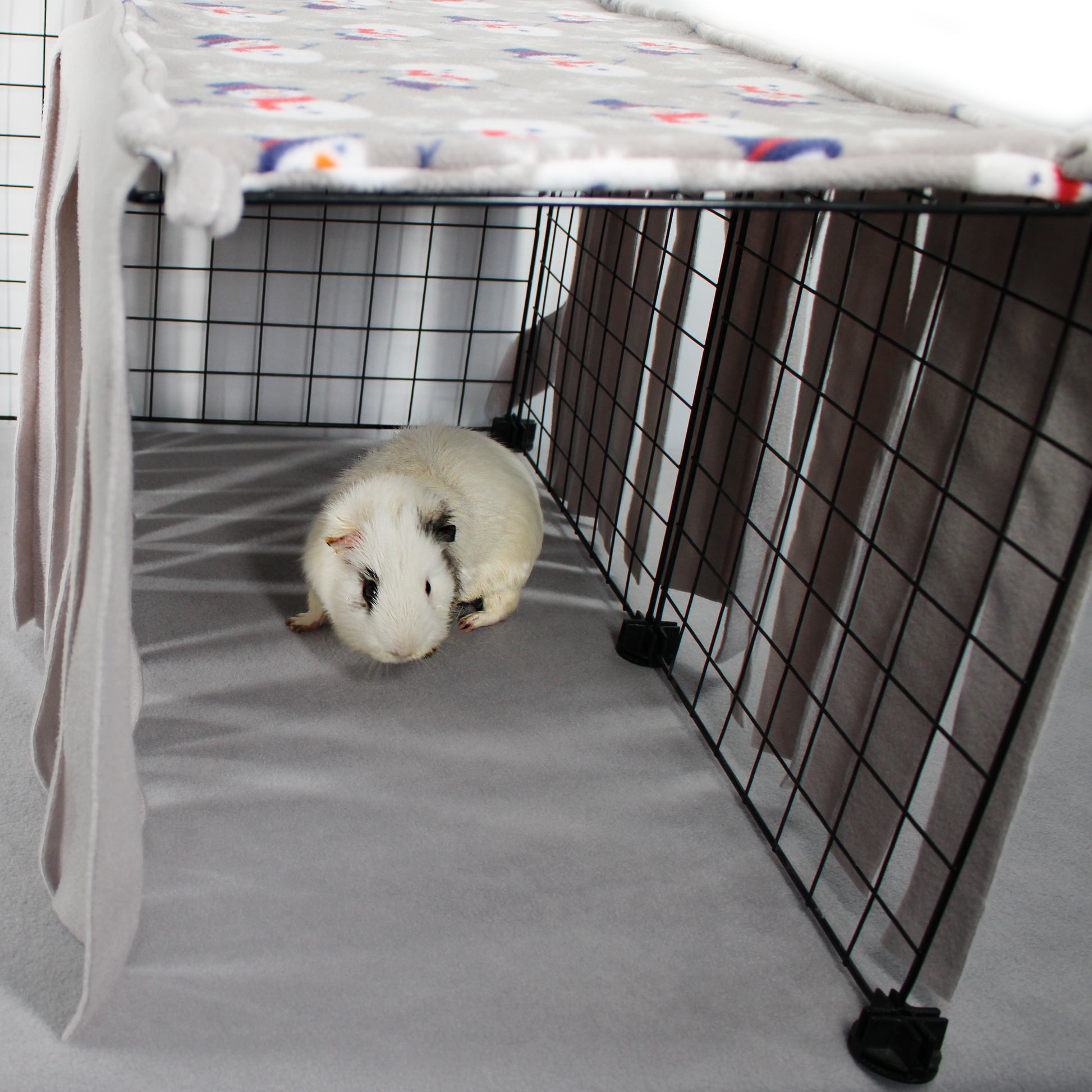 Guinea pig inside a wire cage with a colorful blanket on top