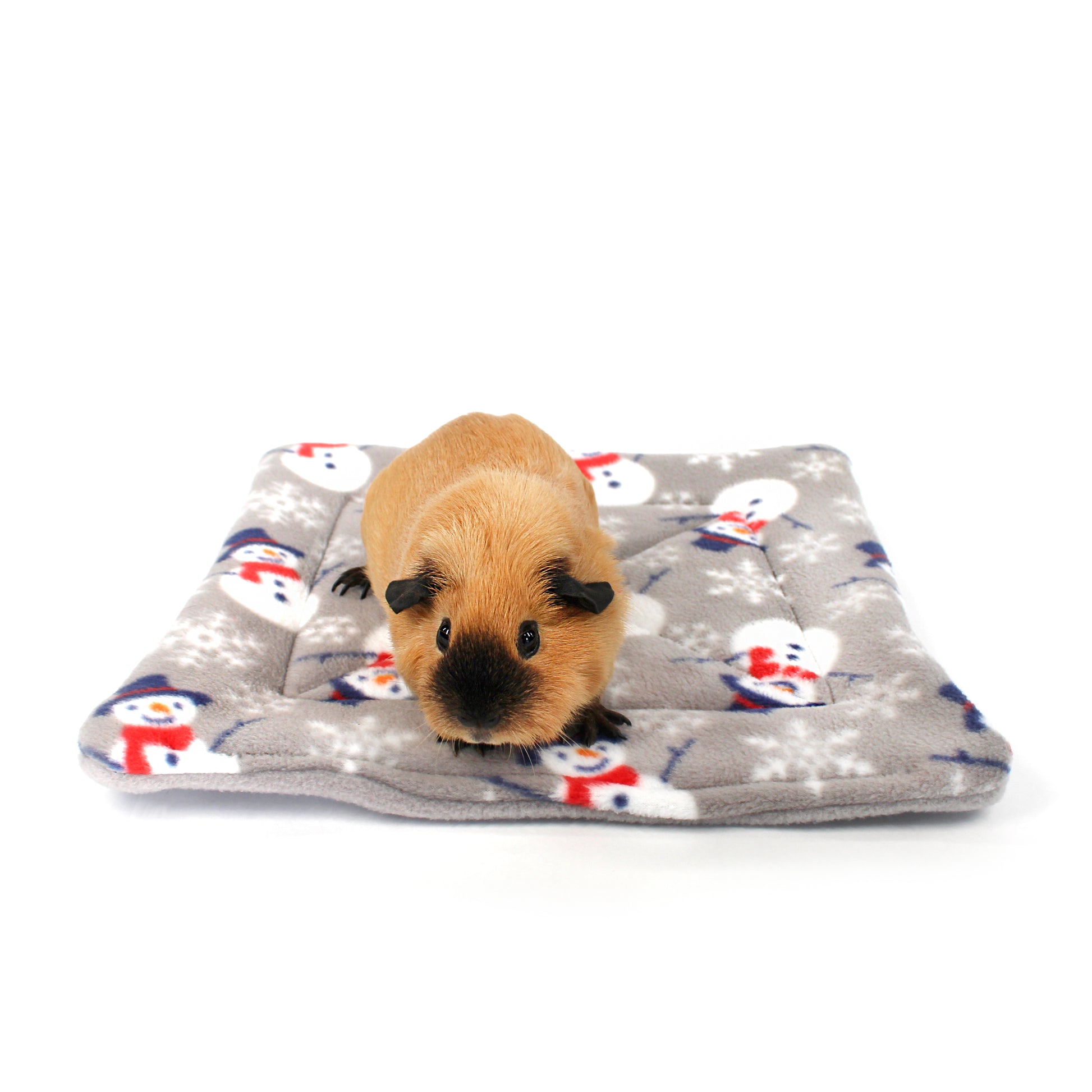 Small animal on a gray blanket with snowman pattern