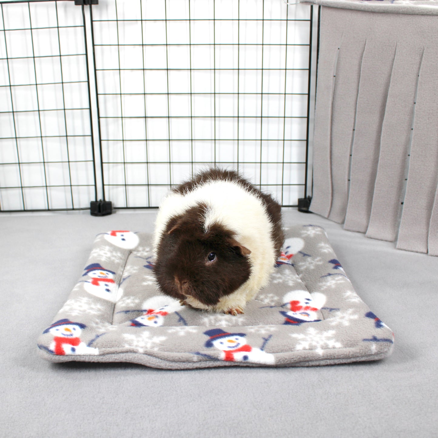 Guinea pig on a snowman-patterned mat in a pet enclosure
