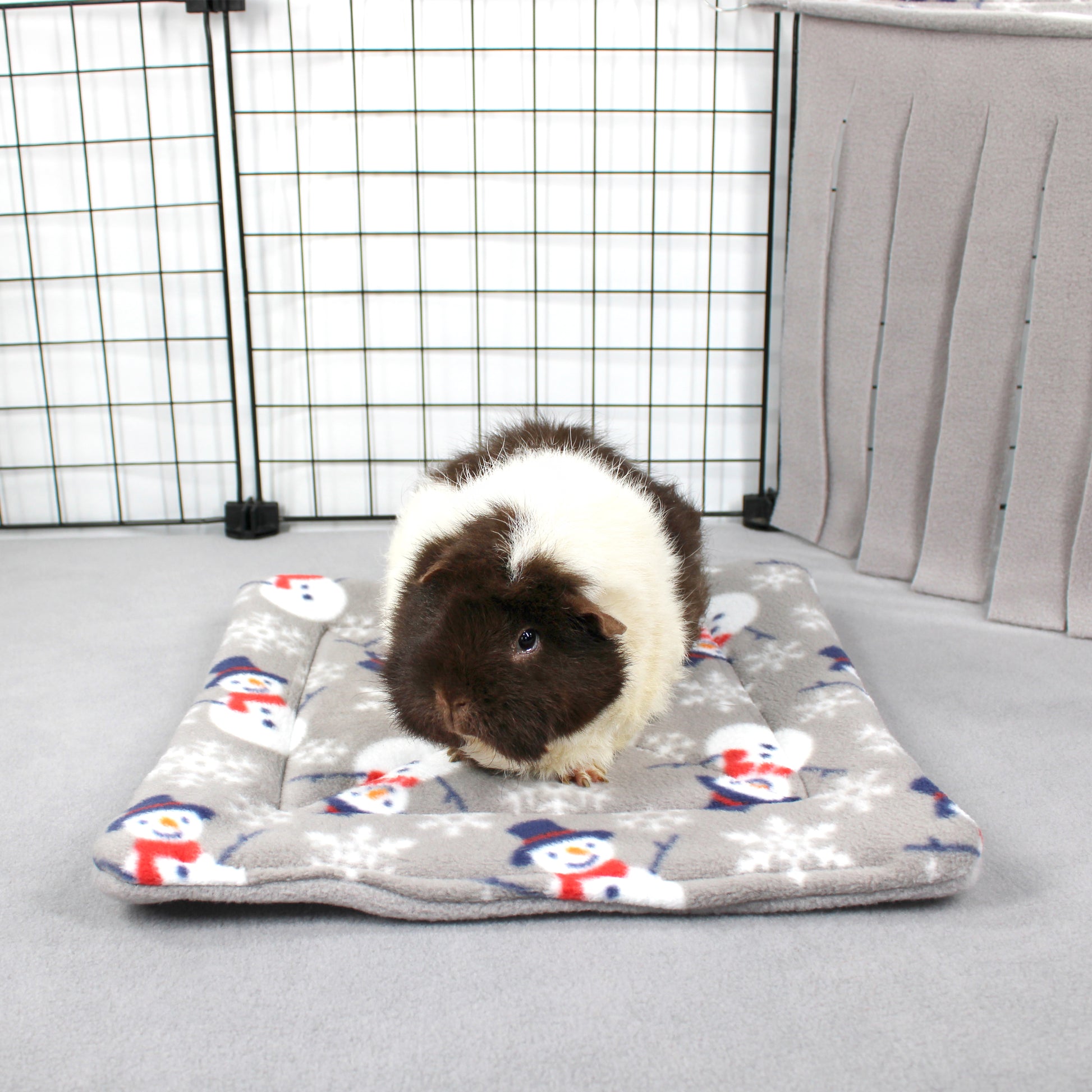 Guinea pig on a snowman-patterned mat in a pet enclosure