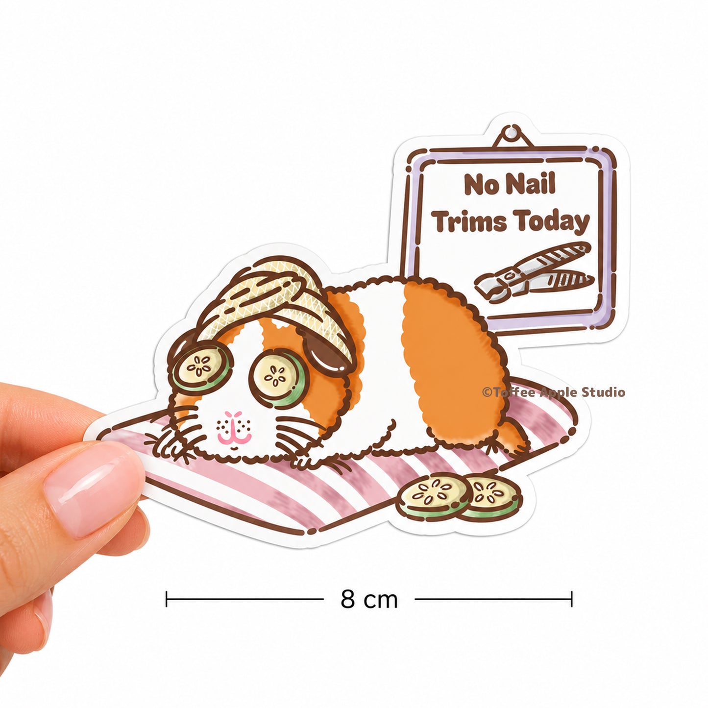 No Nail Trims Today Guinea Pig Vinyl Sticker - Clear