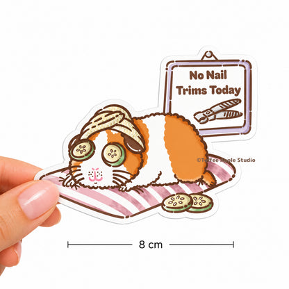 No Nail Trims Today Guinea Pig Vinyl Sticker - Clear