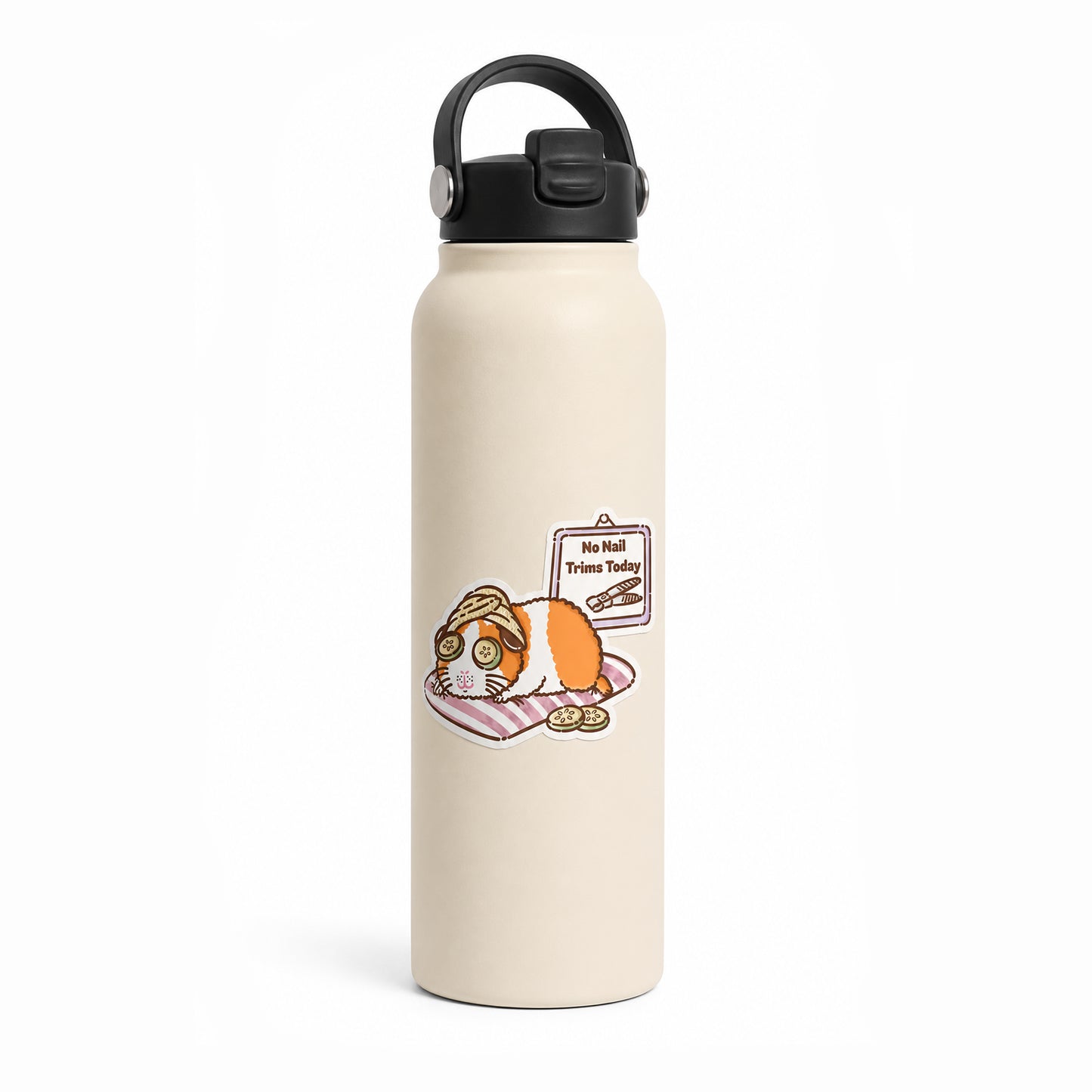 No Nail Trims Today Guinea Pig Vinyl Sticker - Clear
