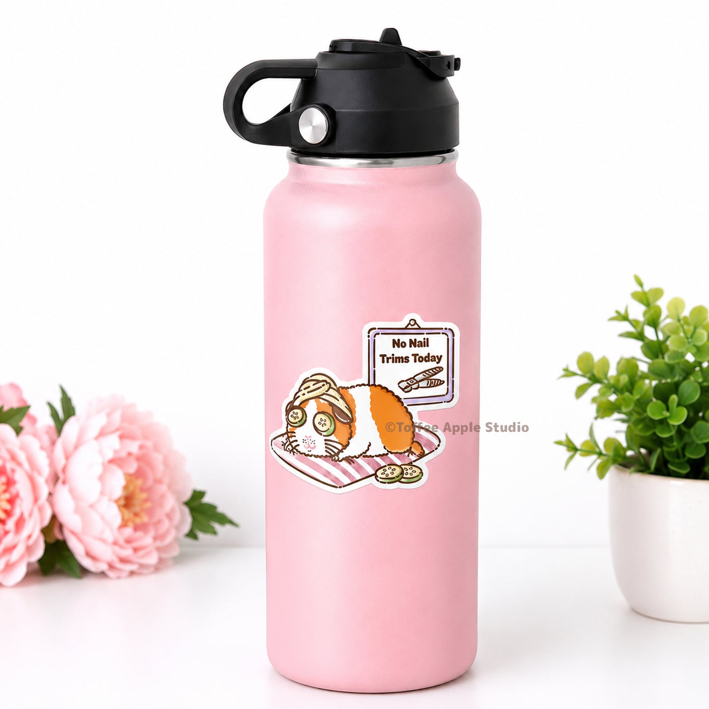 No Nail Trims Today Guinea Pig Vinyl Sticker - White