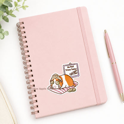 No Nail Trims Today Guinea Pig Vinyl Sticker - White