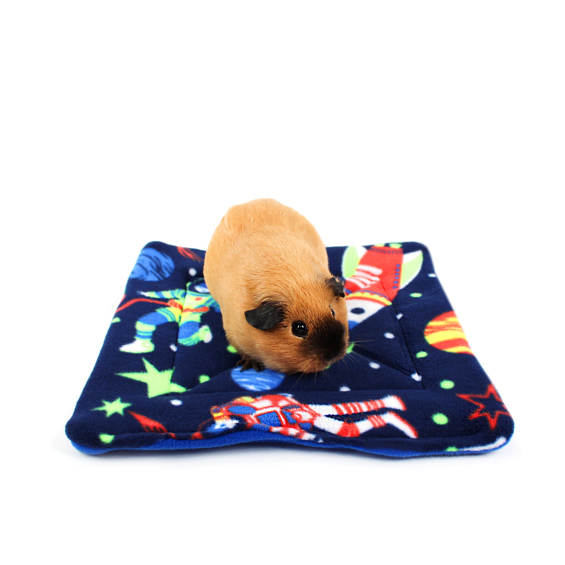 Small brown guinea pig on a colorful blanket with space-themed design