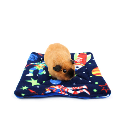 Small brown guinea pig on a colorful blanket with space-themed design
