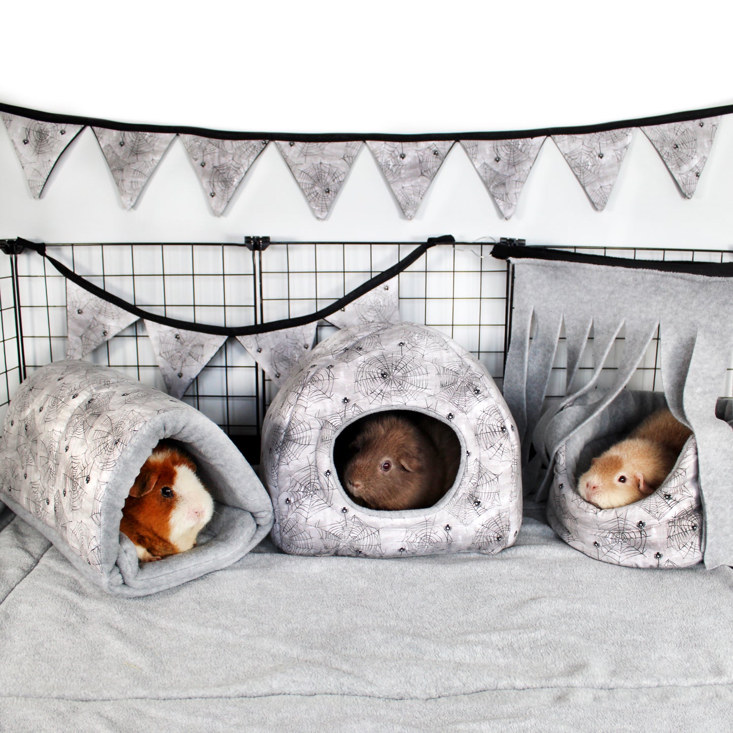 Spider Guinea pig fleece accessories, a great image of a cage themed for halloween