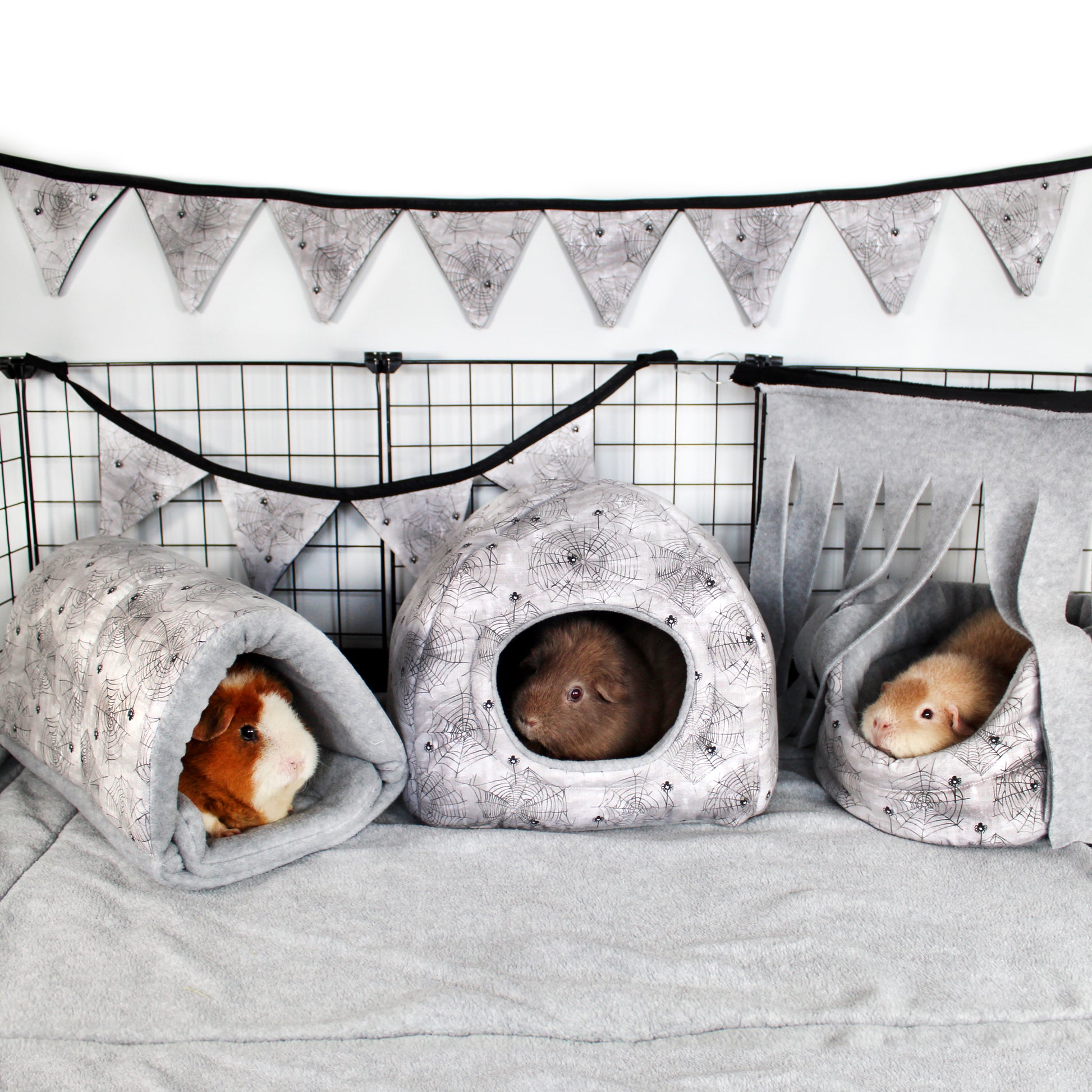 Spider Guinea pig fleece accessories, a great image of a cage themed for halloween