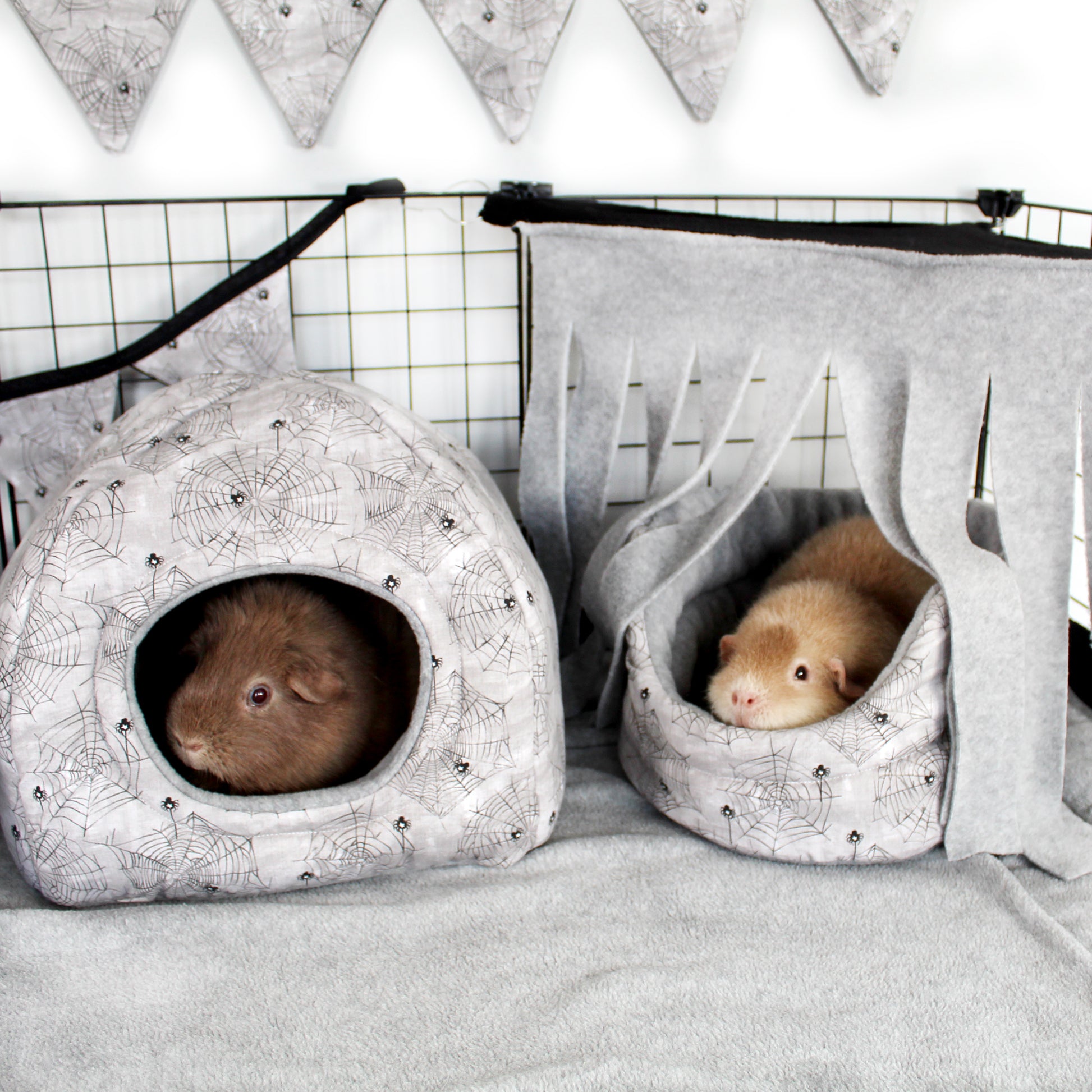 Halloween Spider Accessories, showing the hidey house and cuddle cup bed in a cage set up with happy relaxed guinea pigs