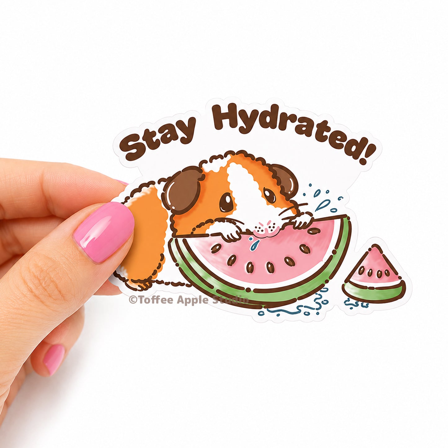 Stay Hydrated Guinea Pig Vinyl Sticker - White
