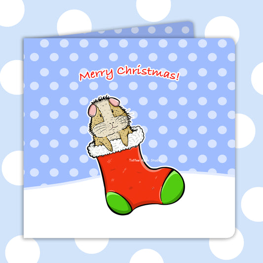Guinea Pig In Christmas Stocking Greetings Card