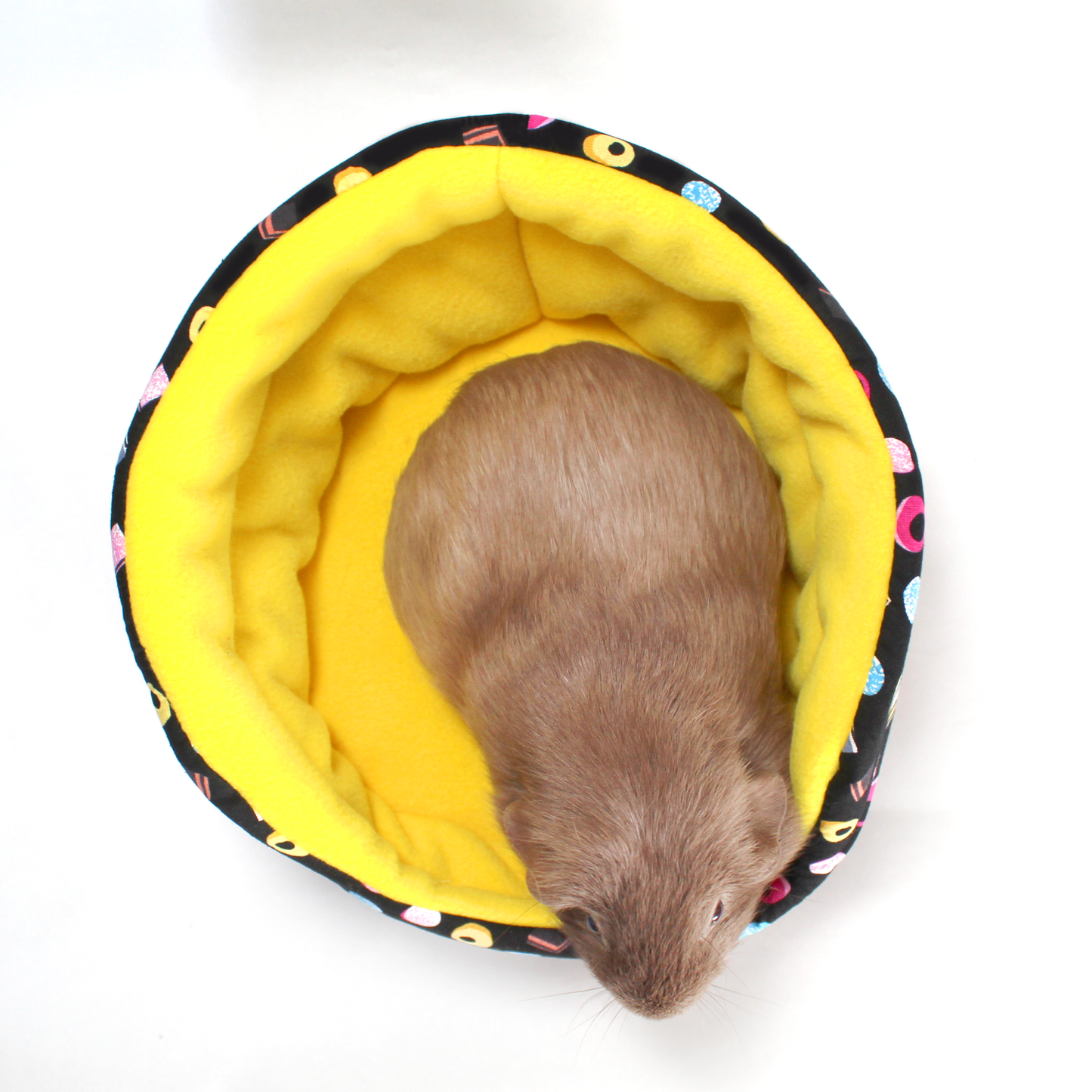 Liquorice Allsorts Guinea Pig Accessory Bundle