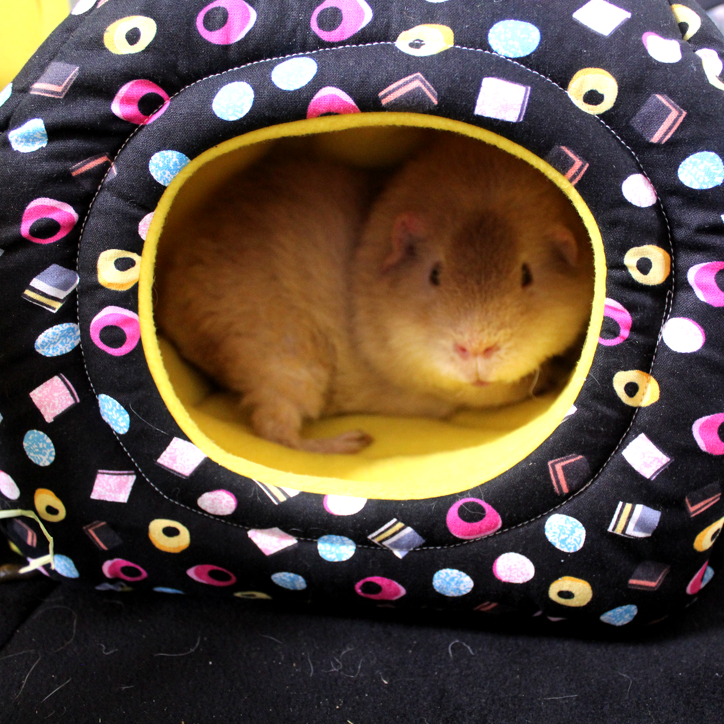 Liquorice Allsorts Guinea Pig Accessory Bundle