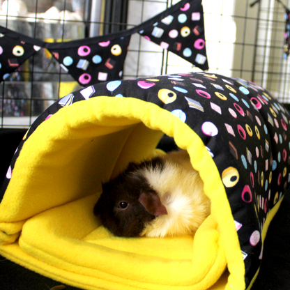 Liquorice Allsorts Guinea Pig Accessory Bundle
