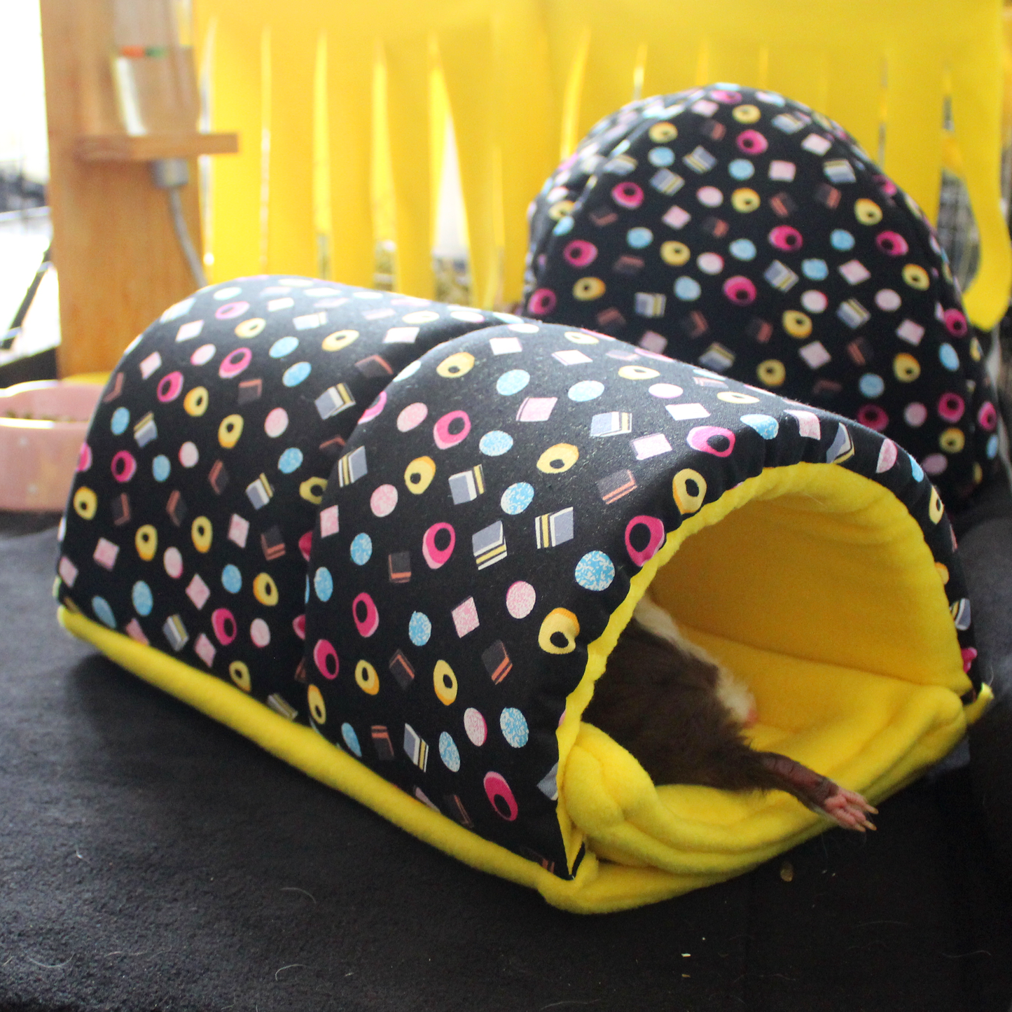 Liquorice Allsorts Guinea Pig Accessory Bundle