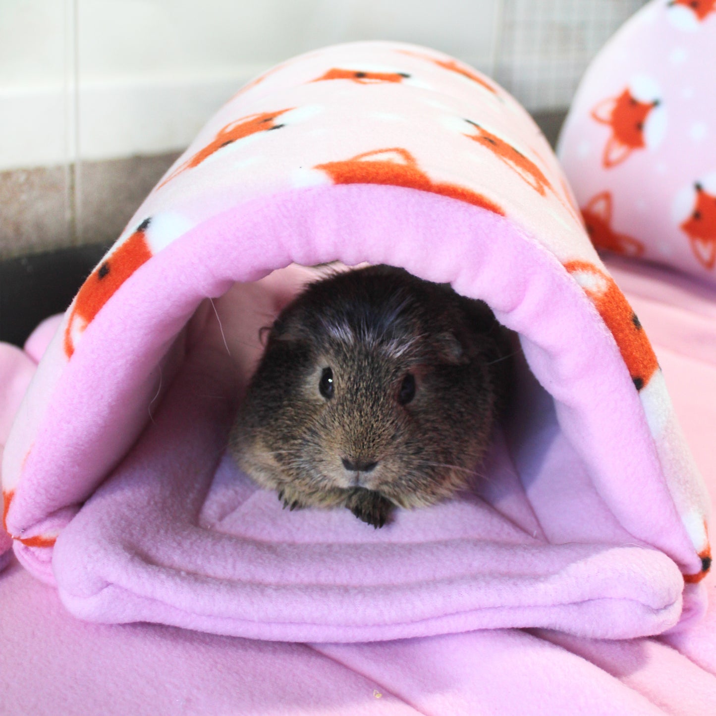 Foxy Fleece Guinea Pig Accessory Bundle