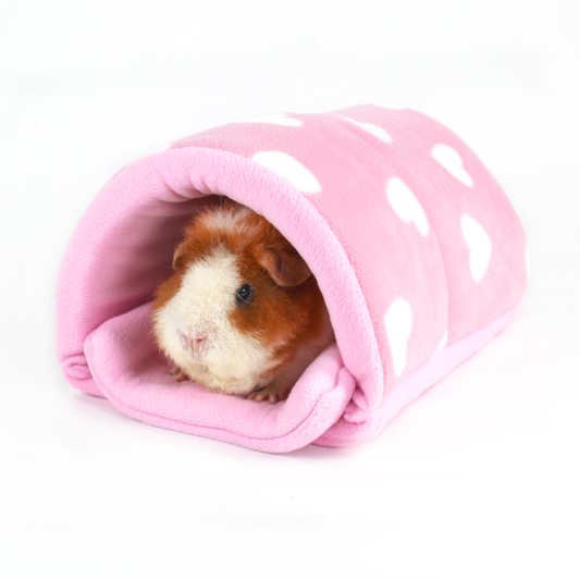Valentines Day Squish Tunnel