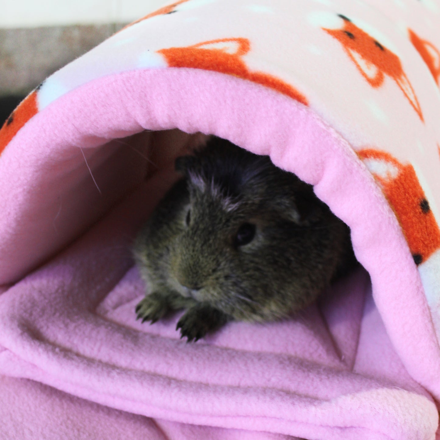 Foxy Fleece Guinea Pig Accessory Bundle
