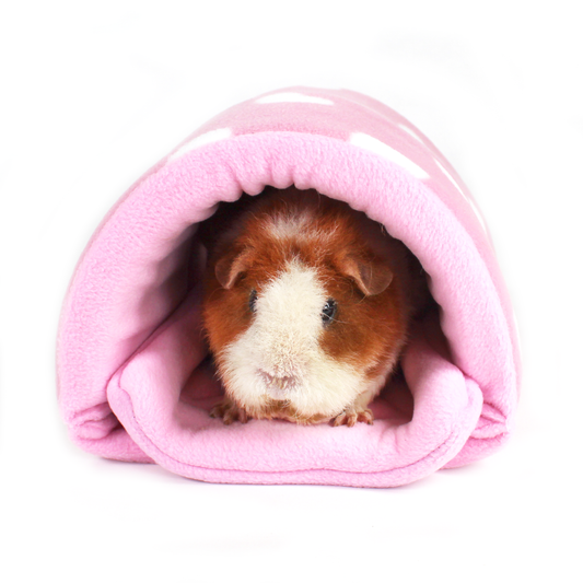 Valentines Day Squish Tunnel