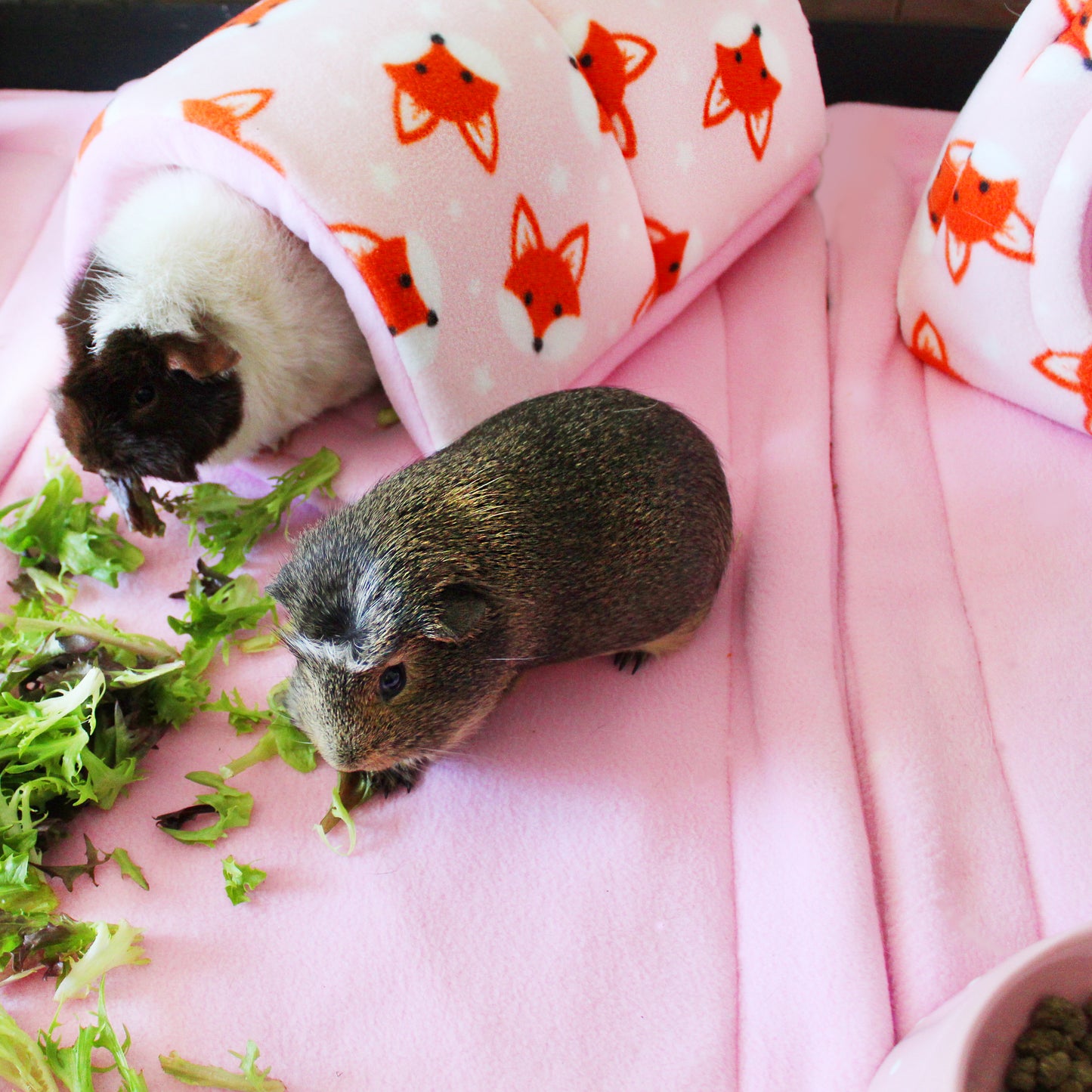 Foxy Fleece Guinea Pig Accessory Bundle