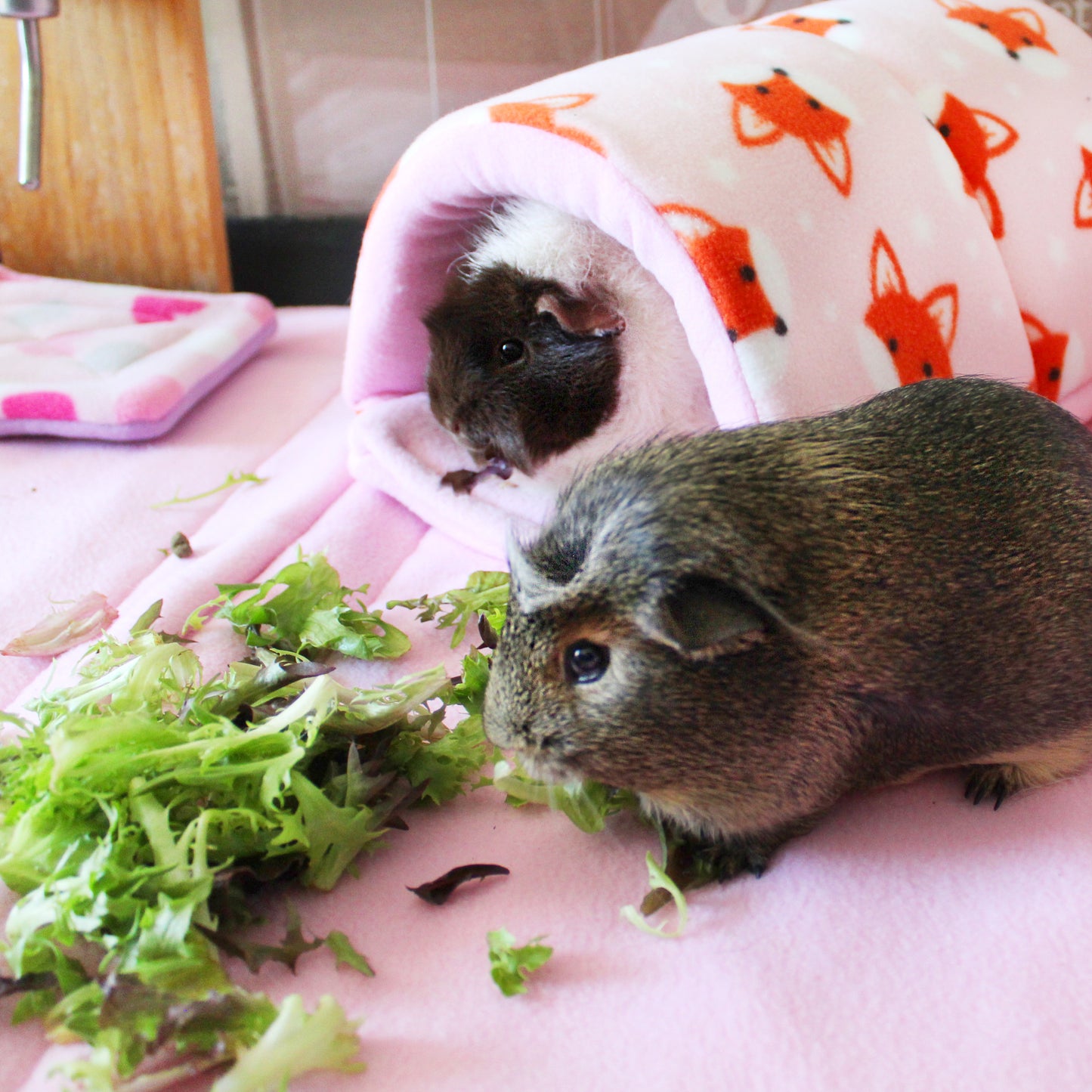 Foxy Fleece Guinea Pig Accessory Bundle